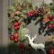 veronas-noel-miracle-2-1.jpg
