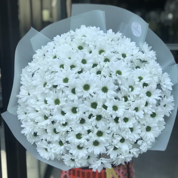 XL Papatya Buketi